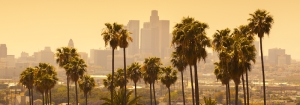 los-angeles-palm-trees-and-downtown-skyline